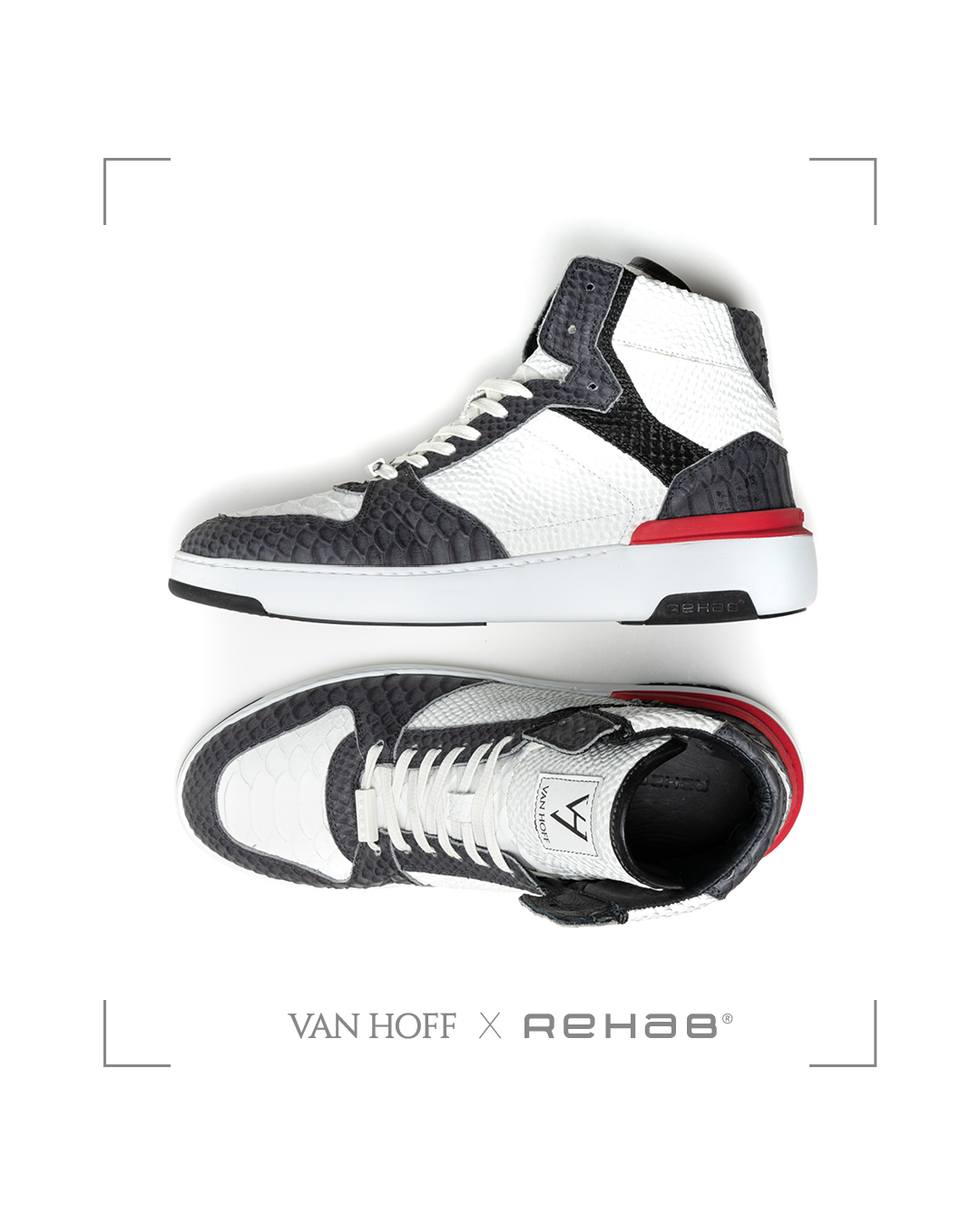 VAN HOF X REHAB3