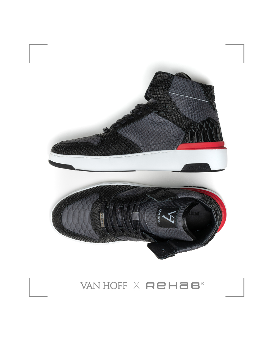 VAN HOF X REHAB4