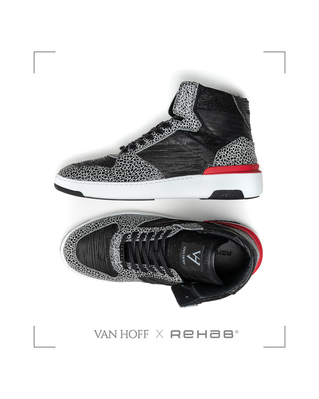 VAN HOFF X REHAB8
